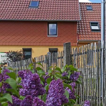 Hainich-Zeit Rodeberg Exteriér fotografie