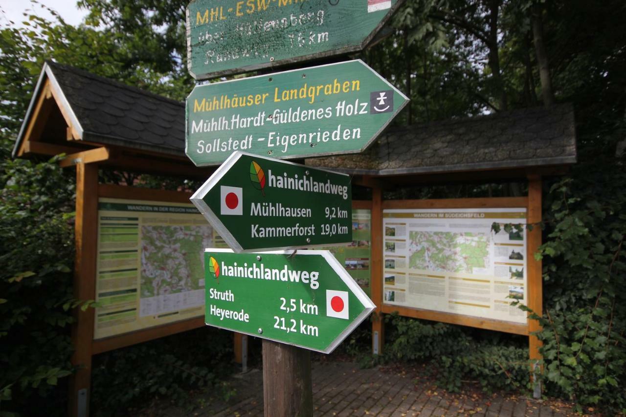 Hainich-Zeit Rodeberg Exteriér fotografie
