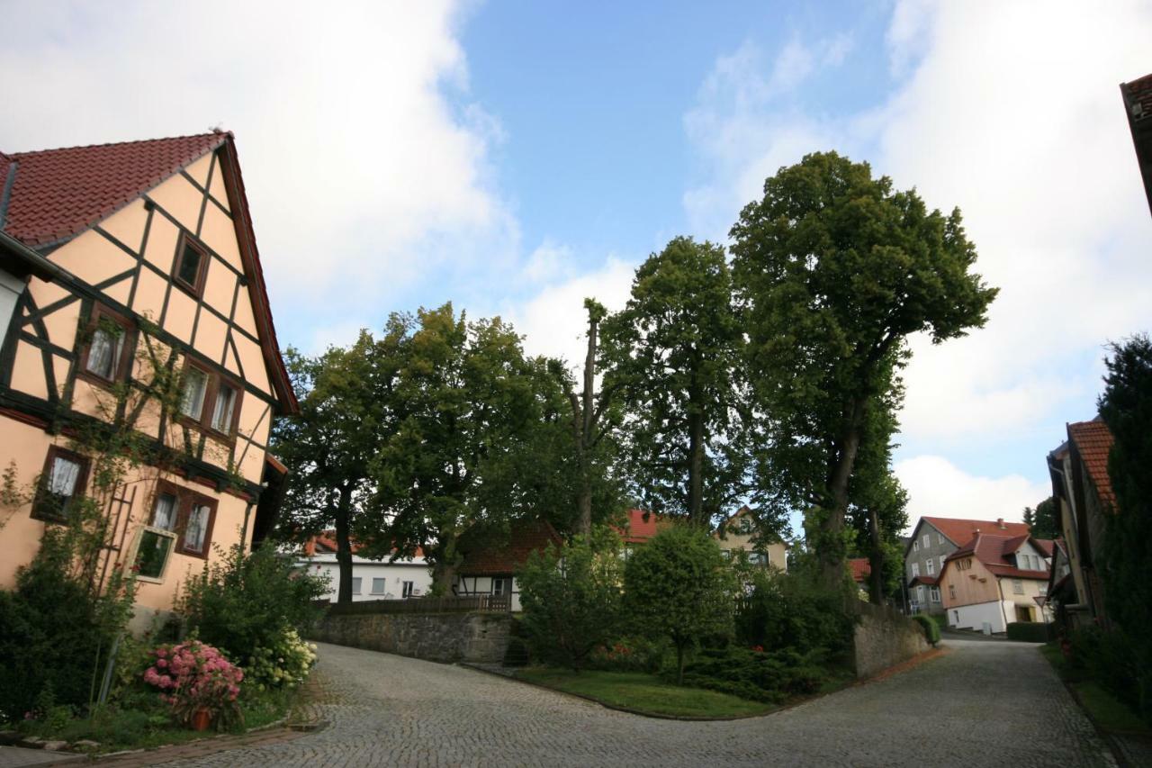 Hainich-Zeit Rodeberg Exteriér fotografie