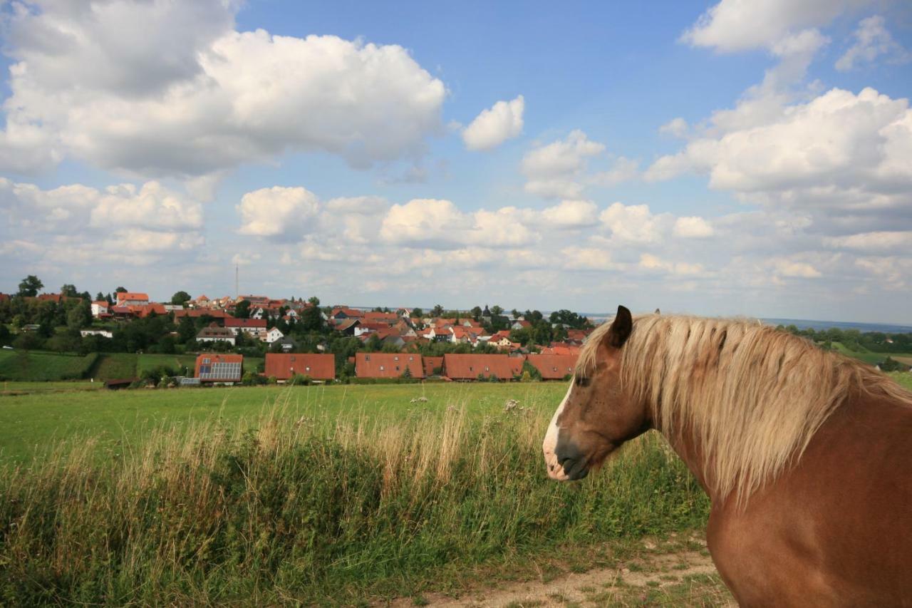 Hainich-Zeit Rodeberg Exteriér fotografie